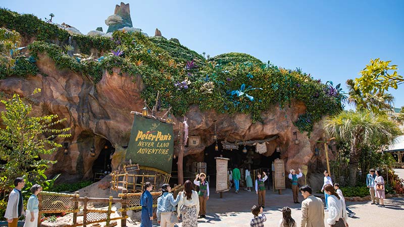 image of Peter Pan's Never Land Adventure