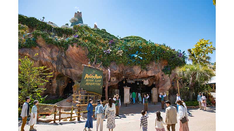 image of Peter Pan's Never Land Adventure
