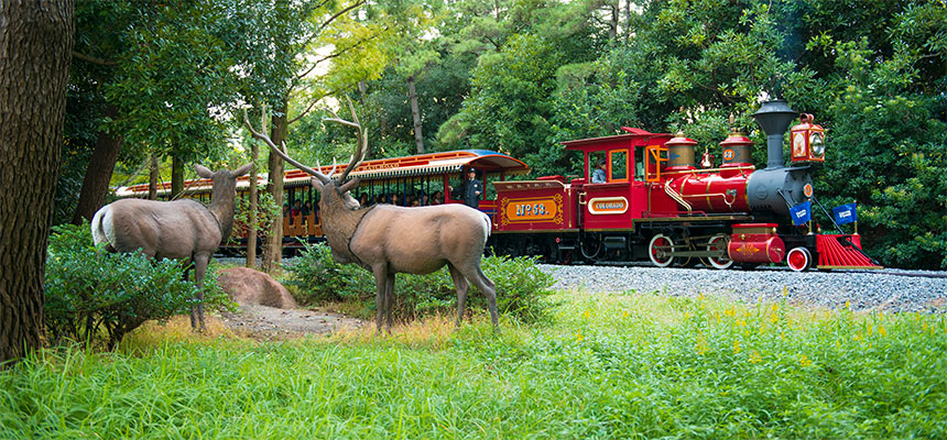 image of Western River Railroad2