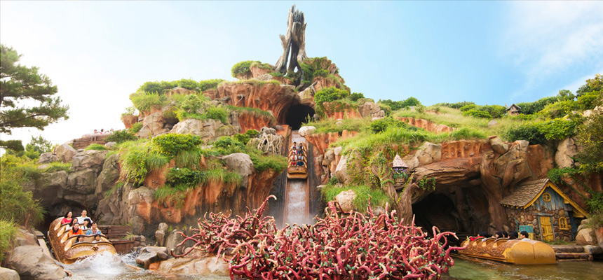 image of Splash Mountain1