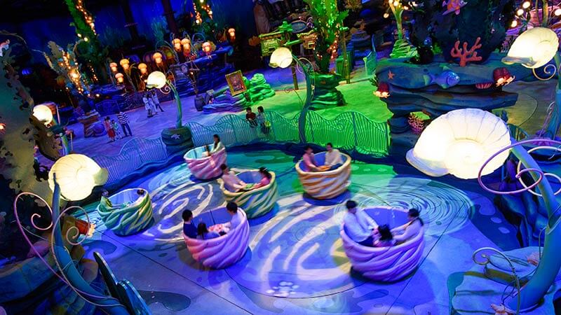 旋转海藻杯的图像