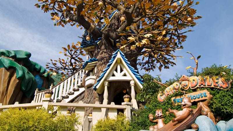 image of Chip 'n Dale's Treehouse