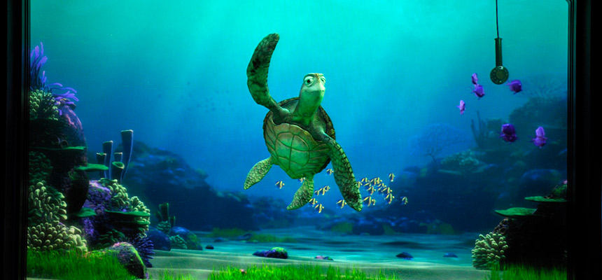 タートル・トークのイメージ2