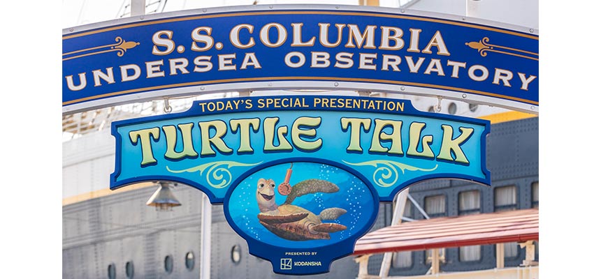 タートル・トークのイメージ3