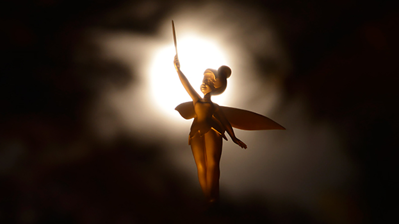 公式】東京ディズニーリゾート～ある日の一枚～｜東京ディズニー