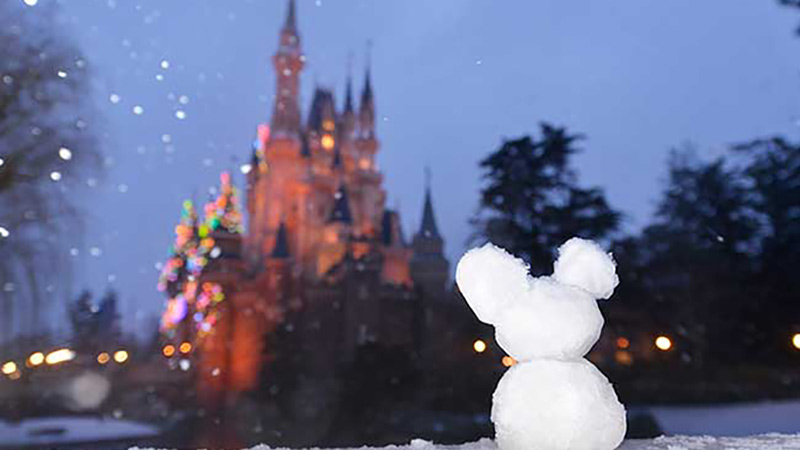 東京ディズニーリゾート～ある日の一枚～のイメージ