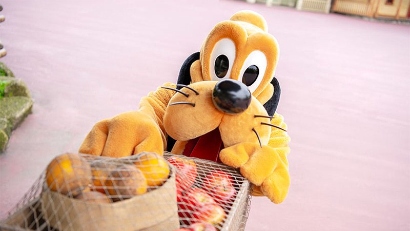 公式】プルートのスクリーンデビューの日！｜東京ディズニーリゾート