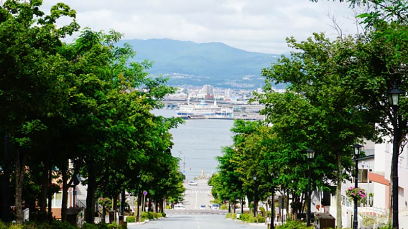 公式 函館港まつりにディズニーの仲間たちが登場 東京ディズニーリゾート ブログ 東京ディズニーリゾート