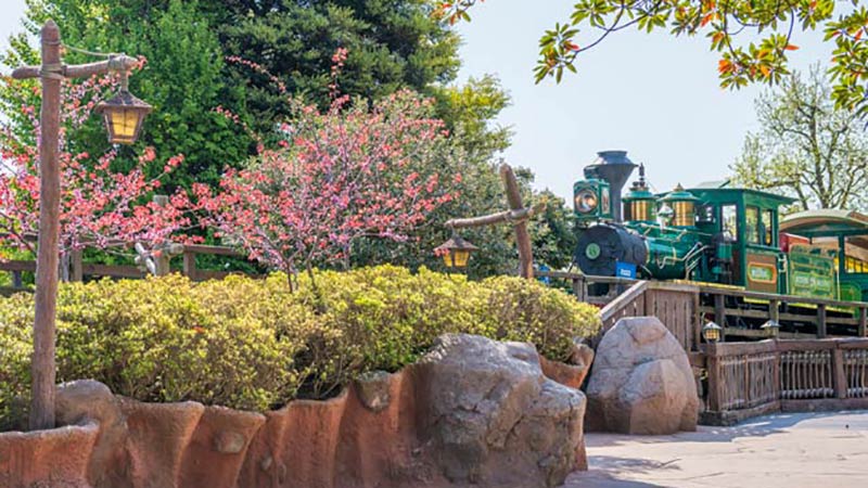 公式 花と緑の散策 東京ディズニーリゾート ブログ 公式 花と緑の散策 東京ディズニーリゾート ブログ