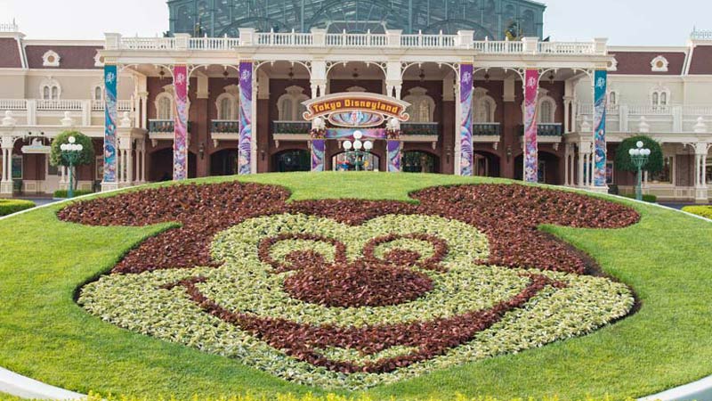 公式】【花と緑の散策】｜東京ディズニーリゾート・ブログ | 東京ディズニーリゾート