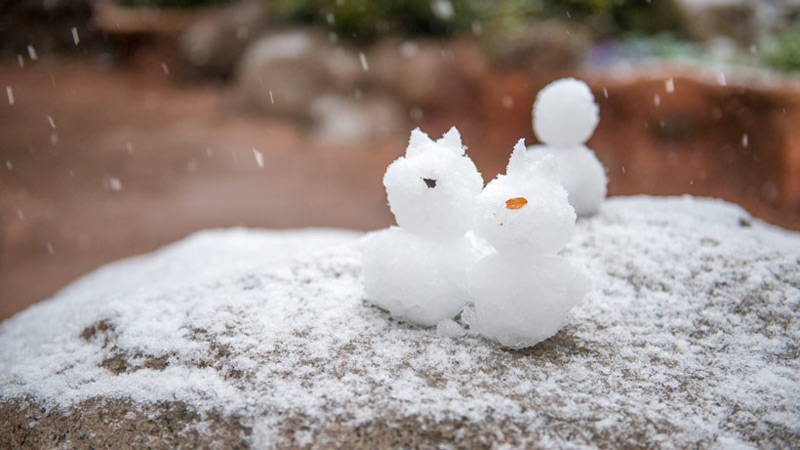 公式 東京ディズニーリゾートの雪景色をお届け 東京ディズニーリゾート ブログ 東京ディズニーリゾート