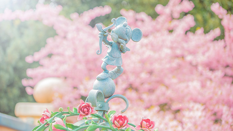 公式 桜咲くパークの風景をお届けします 東京ディズニーリゾート ブログ 東京ディズニーリゾート