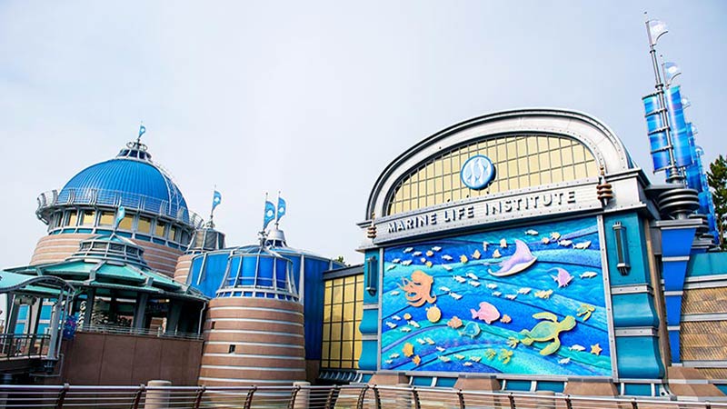 公式 驚きの技術で海の世界へgo 東京ディズニーリゾート ブログ 東京ディズニーリゾート