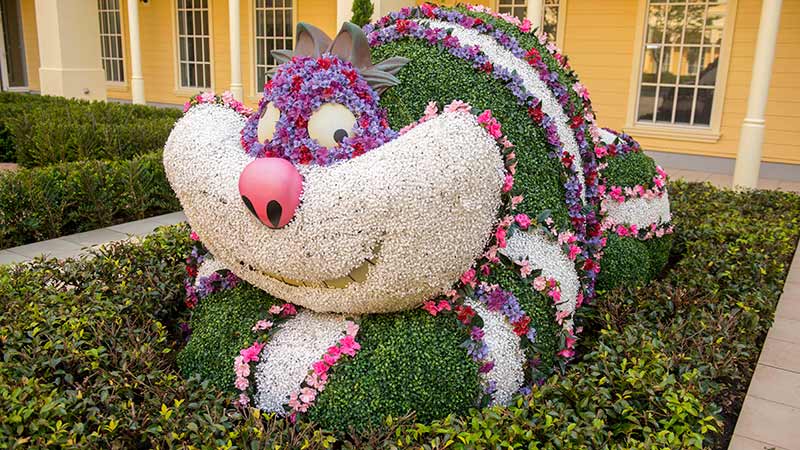 公式 明日は 猫の日 東京ディズニーリゾート ブログ 東京ディズニーリゾート