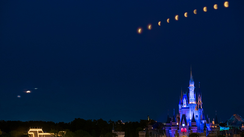 公式 21年5月の記事 東京ディズニーリゾート ブログ 東京ディズニーリゾート