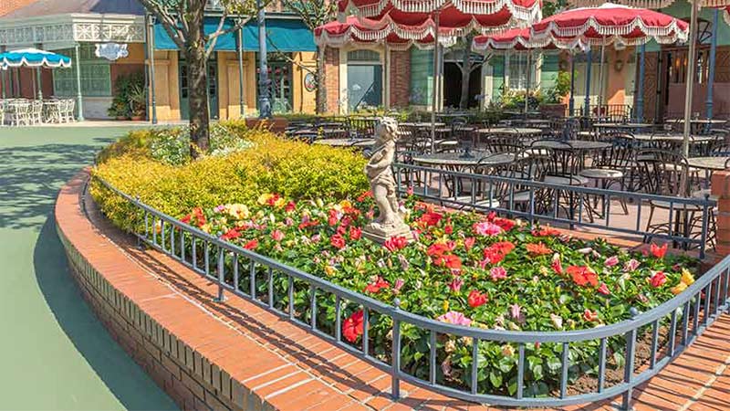 公式】【花と緑の散策】｜東京ディズニーリゾート・ブログ