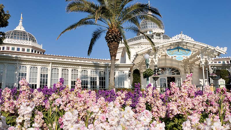 公式 春の花を感じさせるコスチューム 東京ディズニーリゾート ブログ 東京ディズニーリゾート