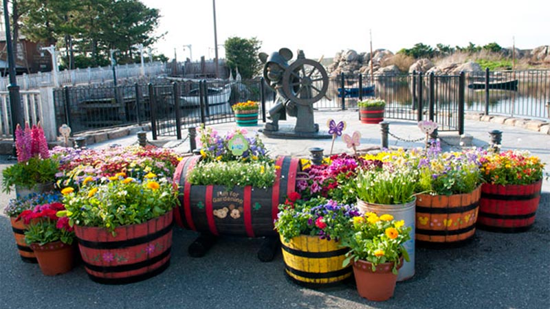 公式】世界の春をめぐる旅へ出かけよう！今日の舞台は、ケープコッド