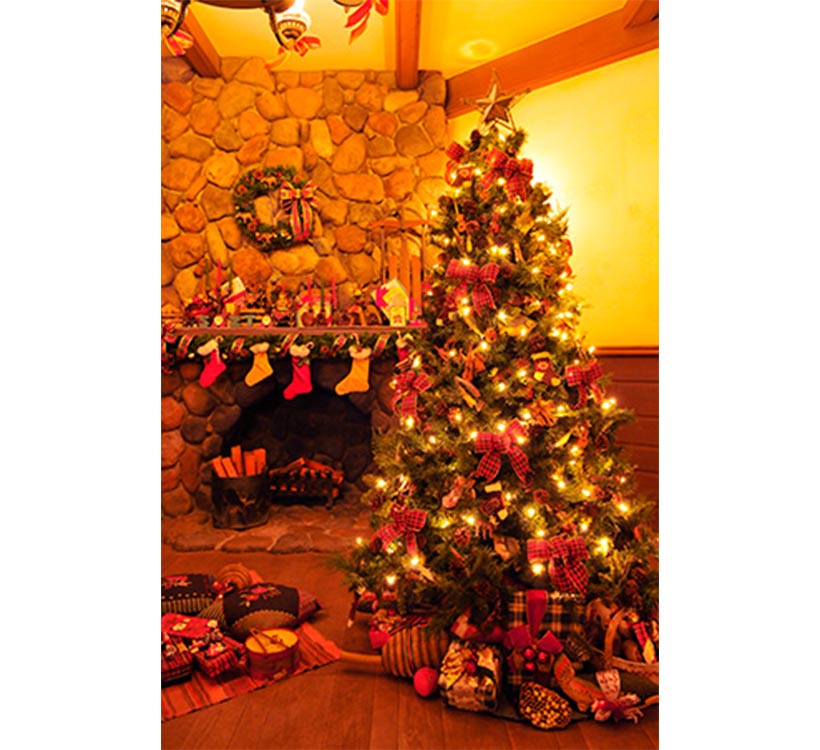 カントリーベアー・シアターにあるクリスマスツリーの画像