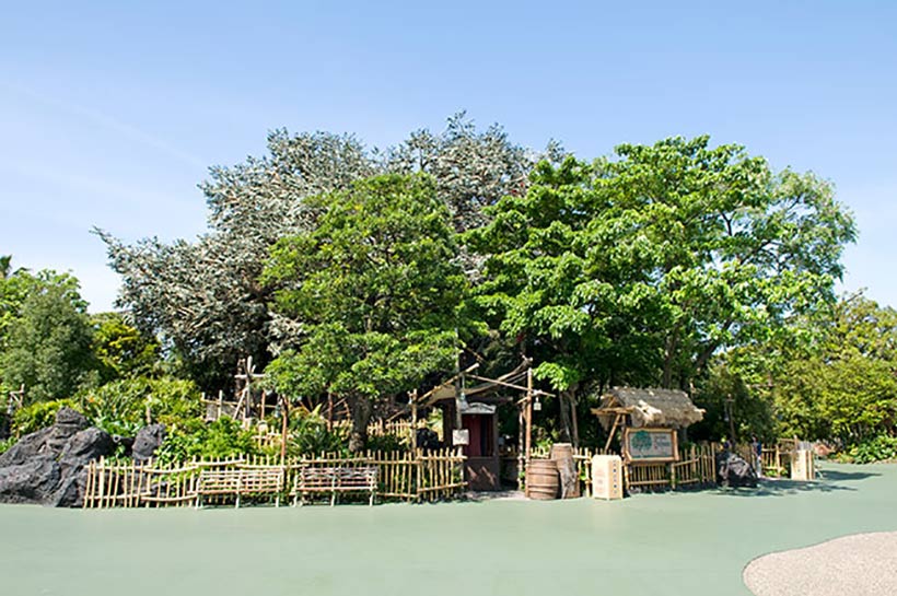 公式 大きなベンガルボダイジュの木の上で 東京ディズニーリゾート ブログ 東京ディズニーリゾート