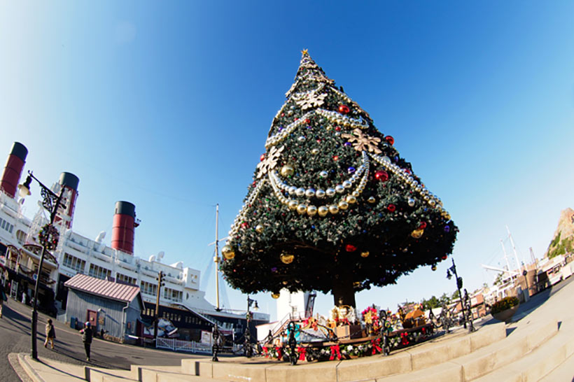 アメリカン・ウォーターフロントのクリスマスツリー画像