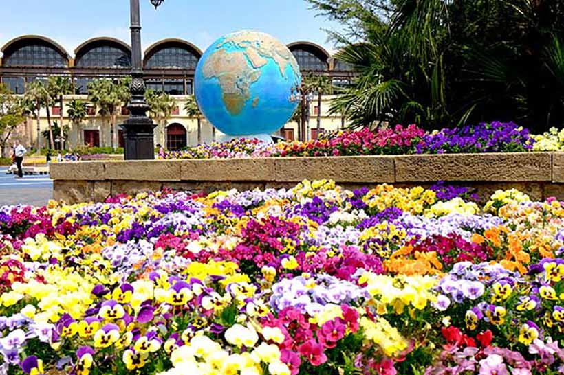 東京ディズニーシー、アクアスフィア前の画像
