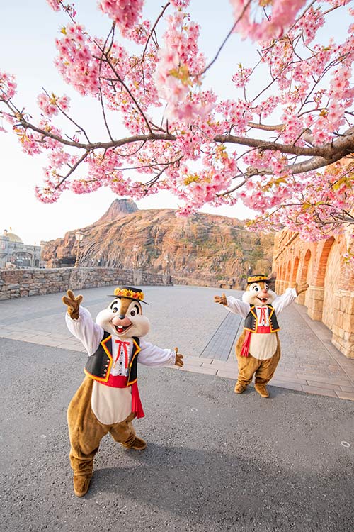 公式 チップとデールのスクリーンデビュー 東京ディズニーリゾート ブログ 東京ディズニーリゾート