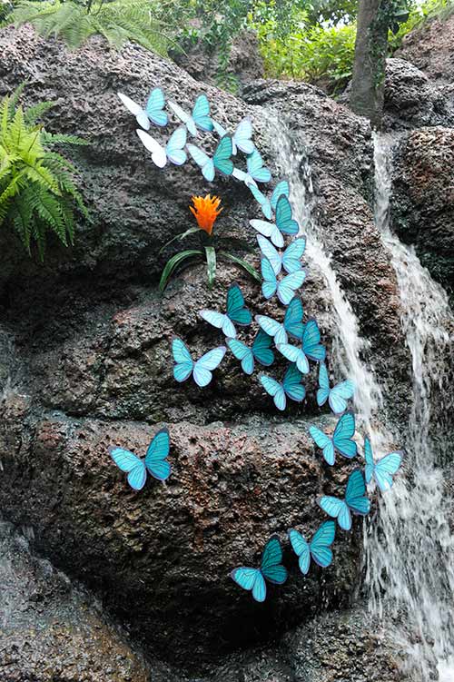 「ジャングルクルーズ：ワイルドライフ･エクスペディション」の蝶々の画像