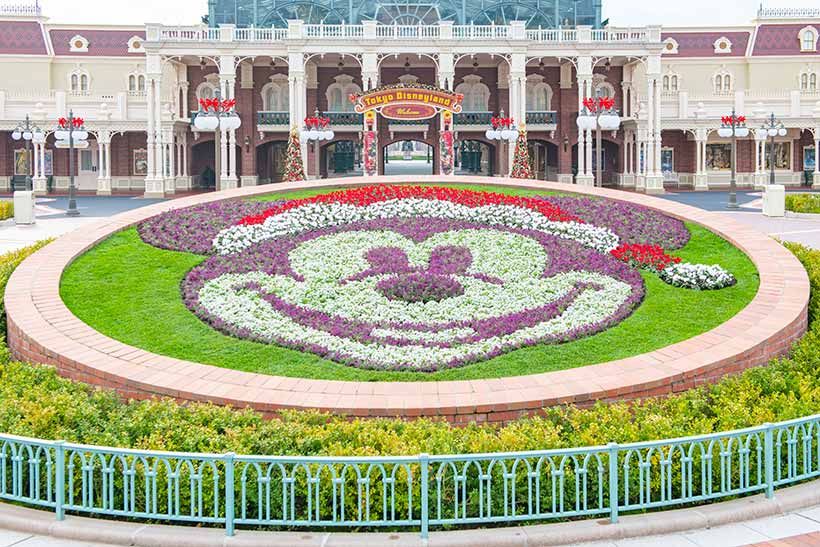 東京ディズニーランドのミッキー花壇の画像