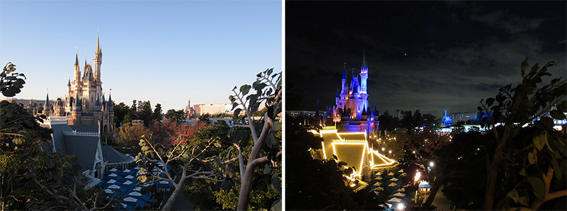 木の頂上からの昼間と夜の景観画像