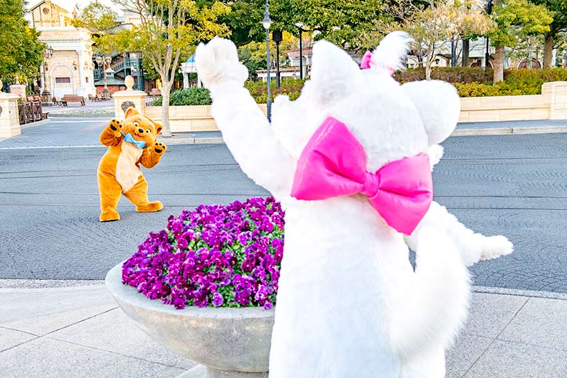 公式】にゃんにゃんにゃん♪ 今日は「猫の日」｜東京ディズニー 