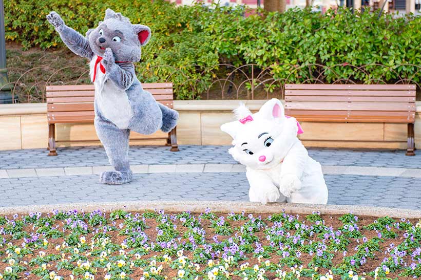 公式】にゃんにゃんにゃん♪ 今日は「猫の日」｜東京ディズニー