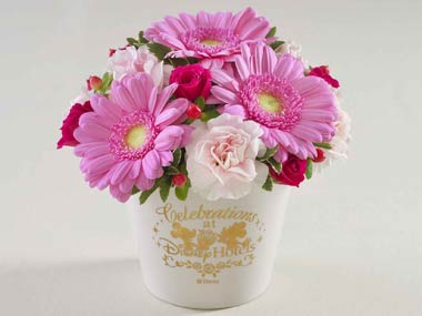 セレブレーションセットBのイメージ2