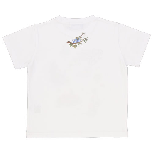 Ｔシャツのイメージ2