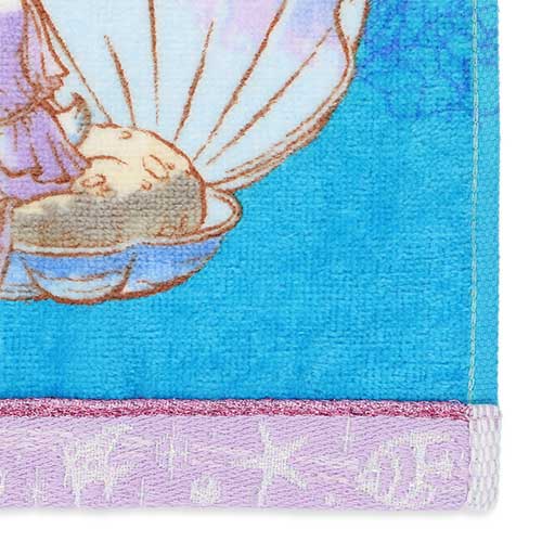 TDR　ウォッシュタオル19枚セット TDRウォッシュタオル19枚セット