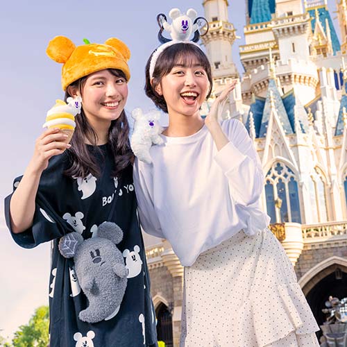 カチューシャのイメージ3