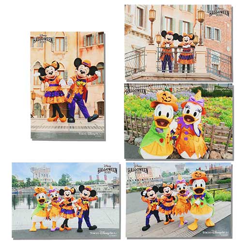 写真セットのイメージ3