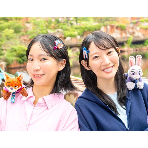 ヘアクリップセットのイメージ3