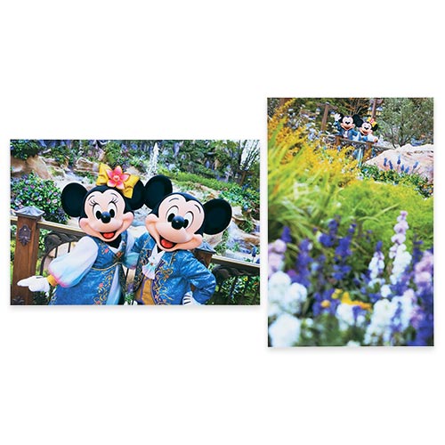 クリアホルダー＆ポストカードのイメージ3