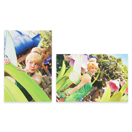 公式】ブランケット｜おすすめグッズ | 東京ディズニーリゾート