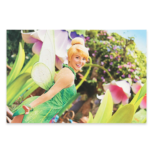 ポストカードセットのイメージ3