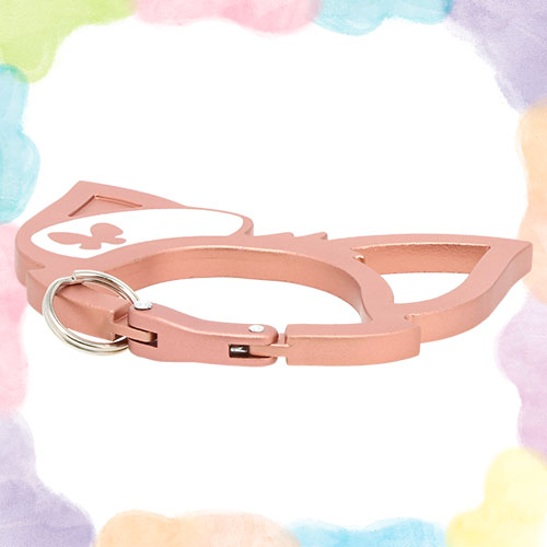 カラビナのイメージ3