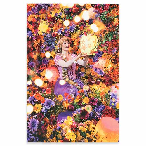 公式】ポストカードセット｜おすすめグッズ | 東京ディズニーリゾート