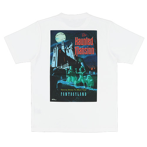 Ｔシャツのイメージ2