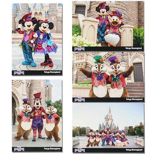 写真セットのイメージ2