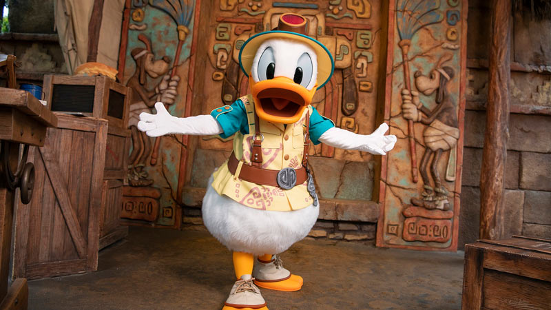 ミッキー＆フレンズ・グリーティングトレイル（ドナルド）のイメージ