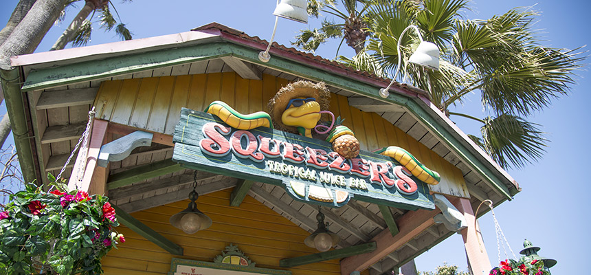 Official Squeezer S Tropical Juice Bar Tokyo Disneyland Tokyo Disney Resort