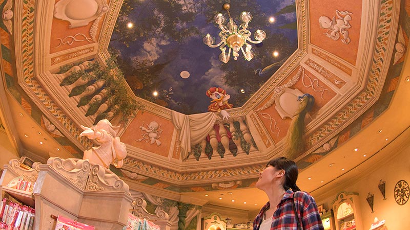 唐老鸭家庭用品店的图像