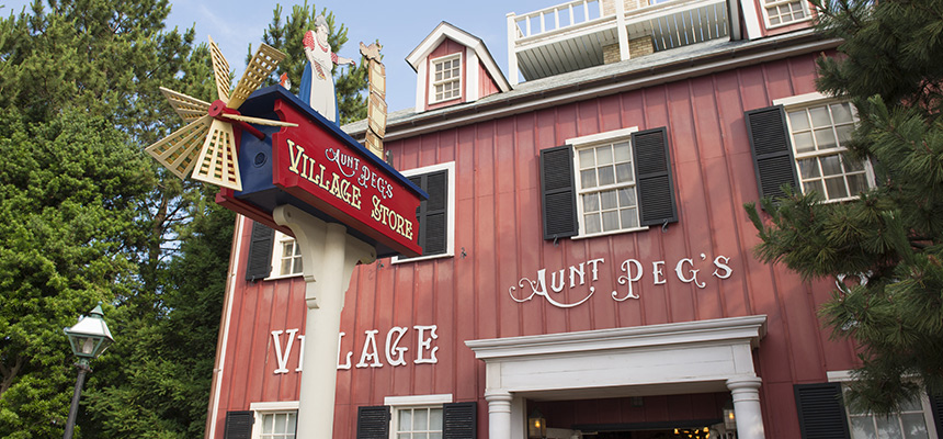 image of Aunt Peg's Village Store1