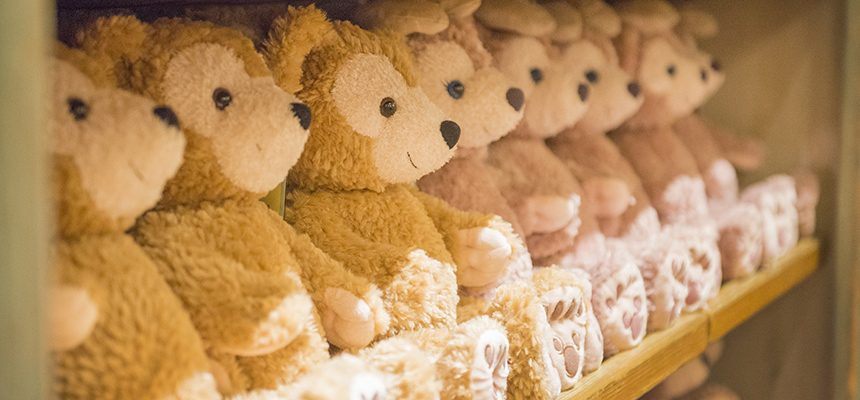 アーント・ペグズ・ヴィレッジストアのイメージ2